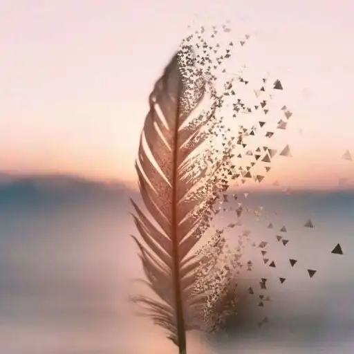 stylish attractive whatsapp dp stylish attractive whatsapp dp